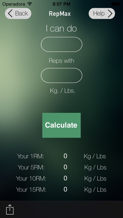 Polcalc's RepMax