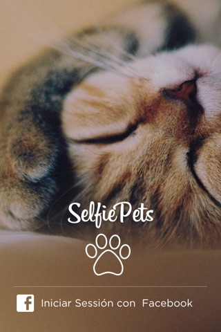 SelfiePets screenshot 2