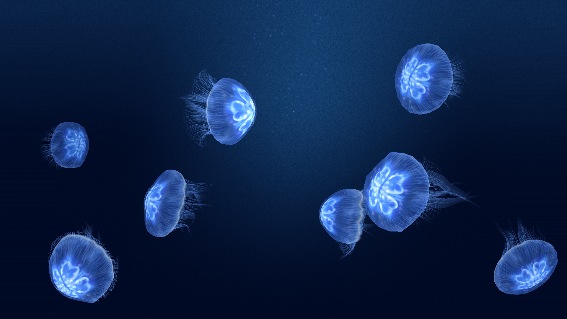 Jellyfish Heaven - Relax Time screenshot 10