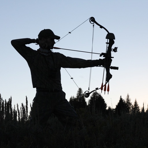 Beginner's Guide on Archery: Tips and Tutorial icon