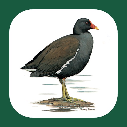 eGuide to the Handbook of Bird Identification for the Iberian Peninsula iOS App