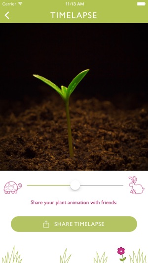 Seedling Grow(圖5)-速報App