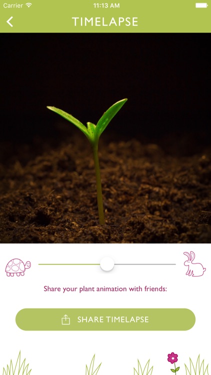 Seedling Grow screenshot-4