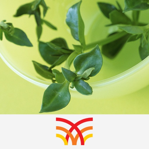 Chinese Medicinal Plants Guide