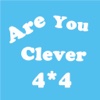 Are You Clever - 4X4 Color Blind Puzzle Pro