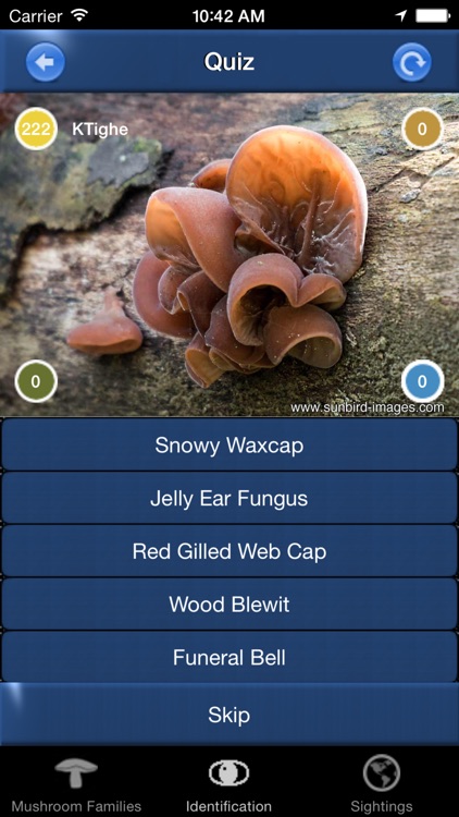 Mushroom Id North America - Fungi Identification Guide to Toadstools and Mushrooms screenshot-3