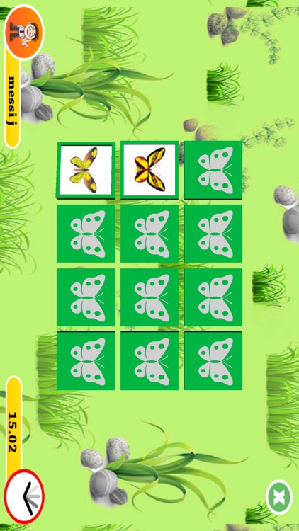 3D Memo match Butterfly Cards - Training your brain with pair matching games