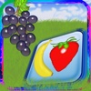 Fruits Magnet Board Preschool Learning Experience Game