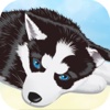 Grab and Care the Pet - Adopt Mini Games in Casino Way for Classic Vegas