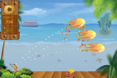 I am a Marksman 2-Shoot Fruit screenshot 2