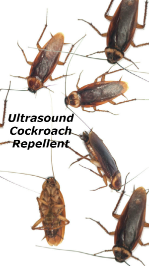 Ultrasound Cockroach Repellent