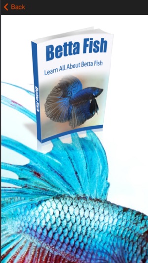 Betta Fish Care - Tips For Keeping A Happy And Healthy Betta(圖4)-速報App