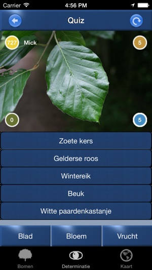 Boom Id Nederland - identificatie gids voor bomen(圖4)-速報App