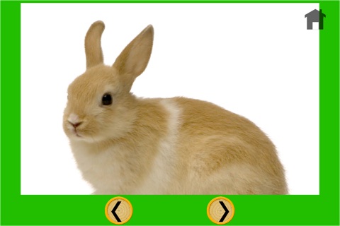 rabbits for good kids - no ads screenshot 4