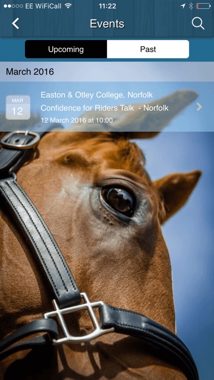 Horse Confidence screenshot-3