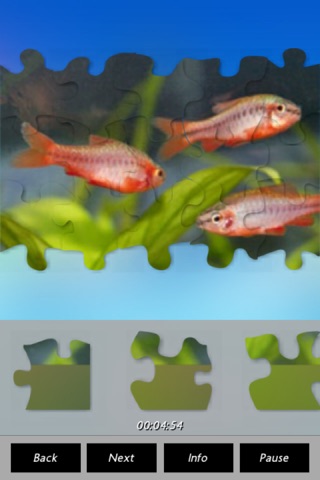 Fish - Puzzles screenshot 2