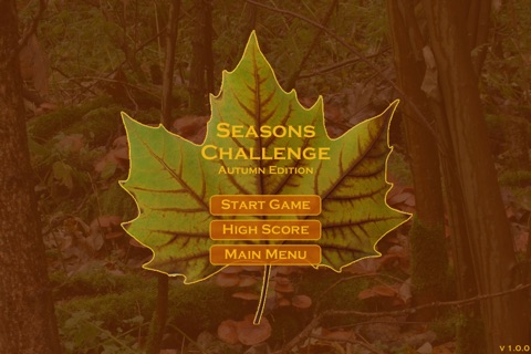 Seasons Challenge: Free Edition screenshot 4
