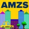 AMZS City drive VR
