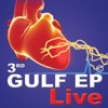 Gulf EP LIVE 2016