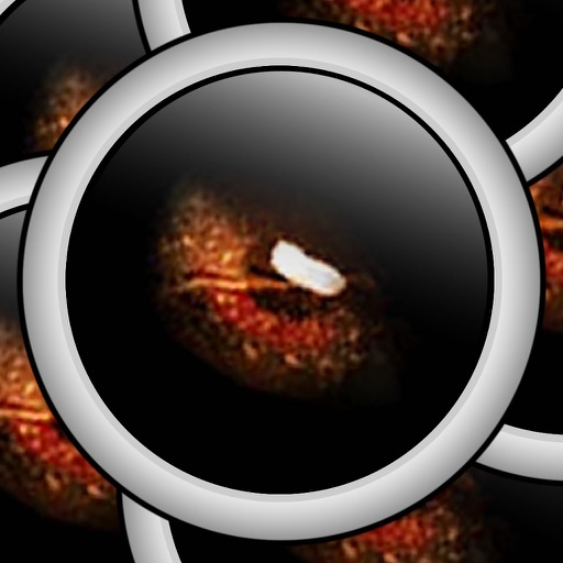 Stalker 1 - Escape icon