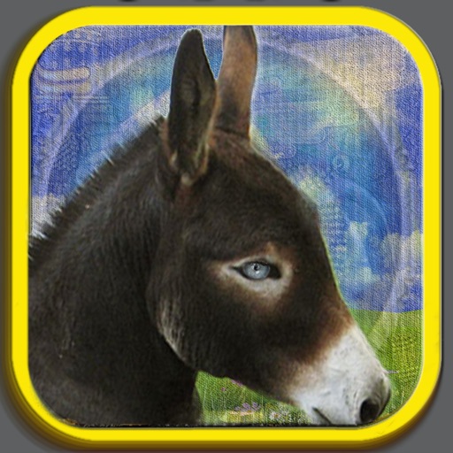 The Story of Horse and Donkey icon