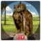 Wild Owl Hunter Simulator – Extreme shooting & jungle hunting simulation game