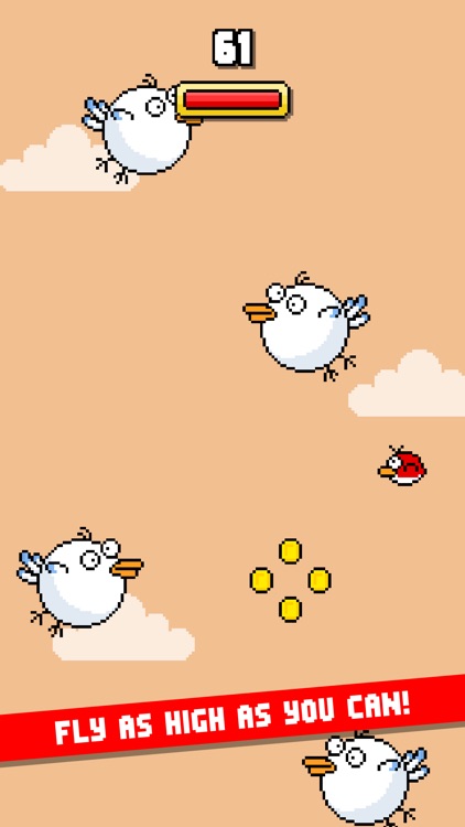 Bolo Bird screenshot-3