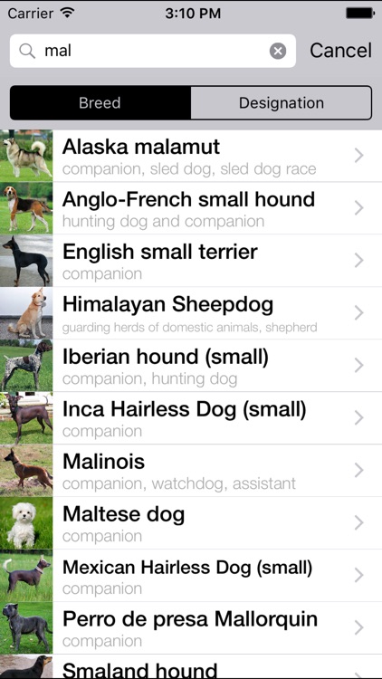 Dogs Catalog screenshot-3