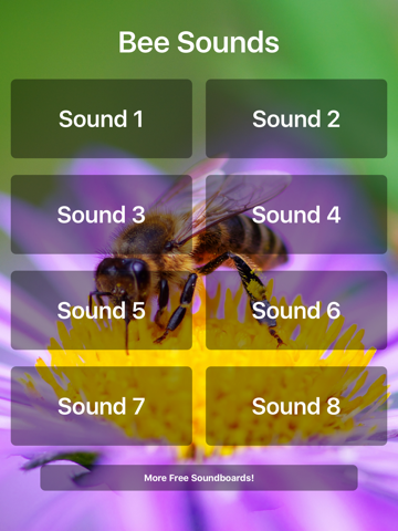 Bee Sounds! - náhled