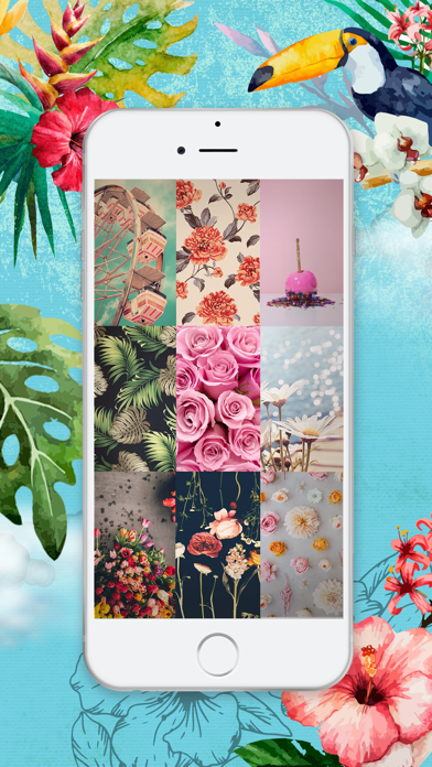 Hdの花の壁紙 おかしなロック画面の背景 そして花のテーマを開花 Iphoneのための Iphoneアプリ Applion