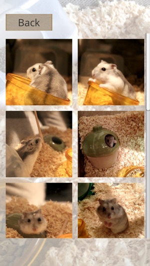 Hamster Slider Puzzle