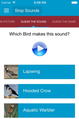 UK Birds Sounds screenshot 4
