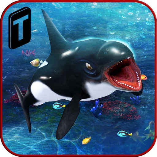 Killer Whale Beach Attack 3D iOS App