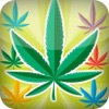 WEED ISLAND MATCH GANJA WEED ISLAND MATCH GANJA