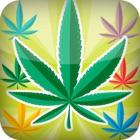 Top 37 Games Apps Like WEED ISLAND MATCH GANJA - Best Alternatives