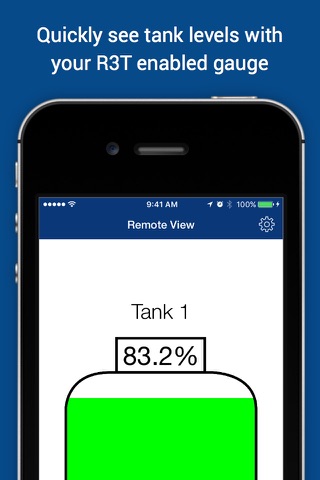 Rochester Gauges R3T screenshot 2