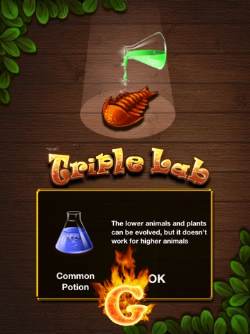 Triple Lab G для iPad
