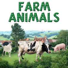 Activities of Sounds of Farm Animals