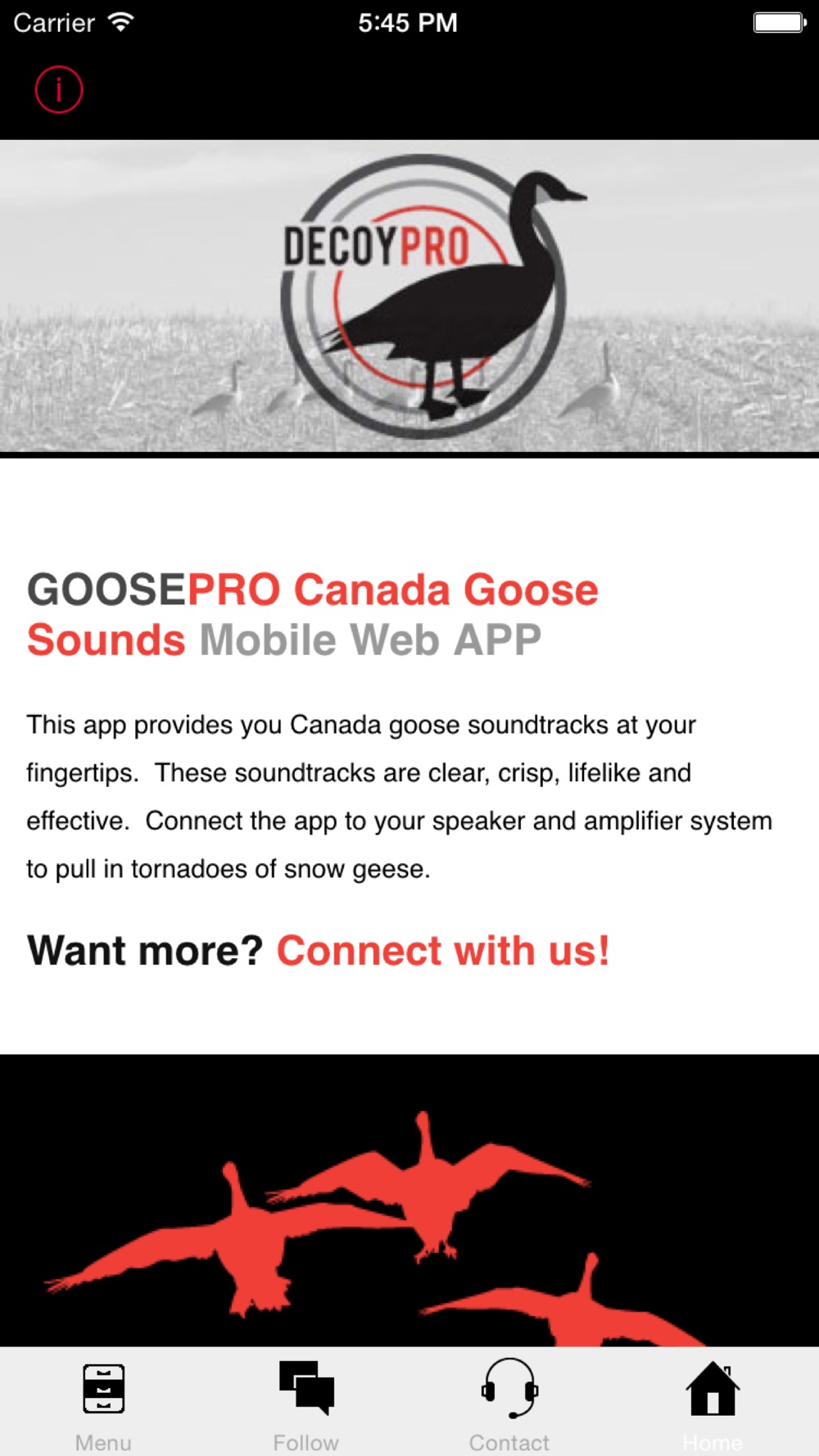 canada goose web application