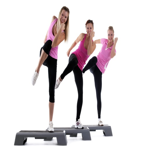 Aerobic Exercises Videos icon