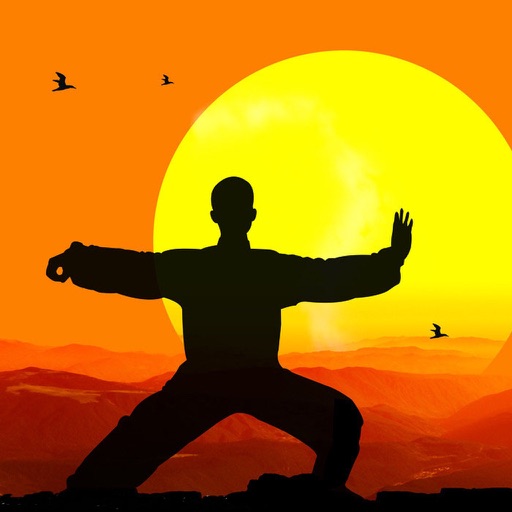 Qigong Training icon