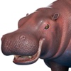 Hippo 3D