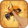 Ant Smasher Insects Reloaded - Free Ants and Bugs Crush Game !