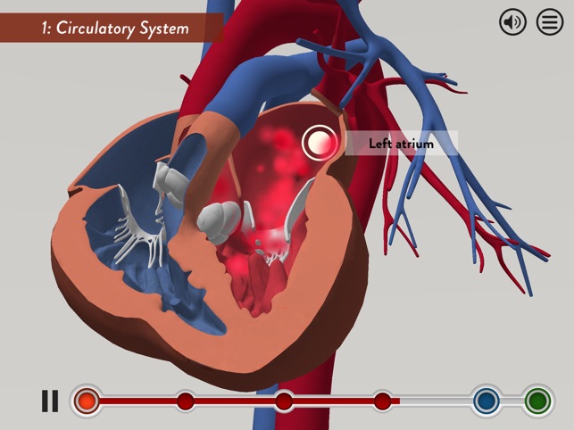 Child Heart Surgery(圖3)-速報App