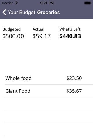 BudgetSimple screenshot 2