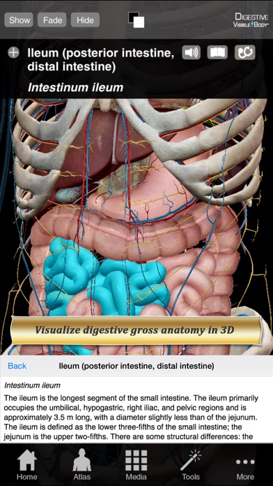 Digestive Anatomy Atl... screenshot1