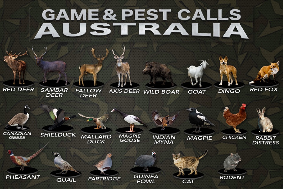 Australia Game and Pest Calls screenshot 3