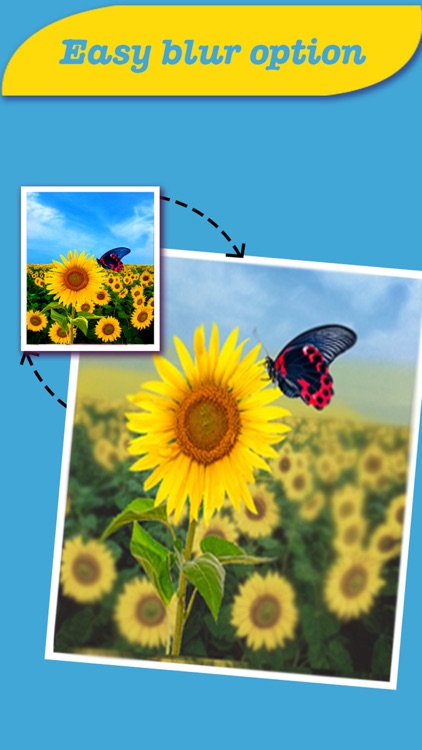 Pixlr Collage Maker: Photo Editor With Effects Stickers & Filter screenshot-3