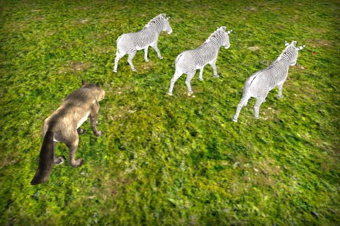 Angry Wolf Attack Simulator 3D - Wild Safari Animals Survival Game screenshot 2