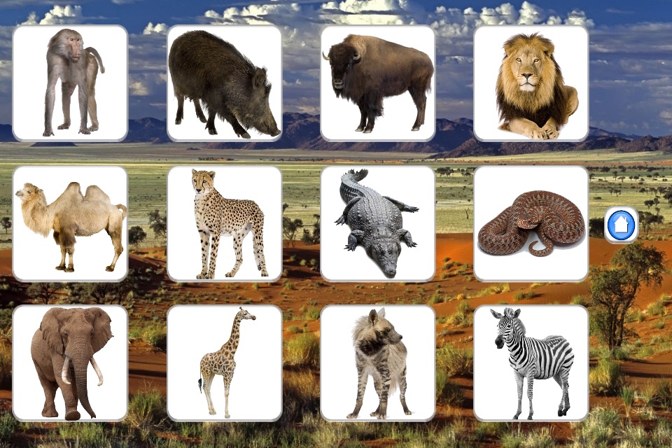 African Animals screenshot 2
